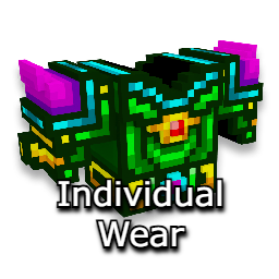 10 Individual Wear Items